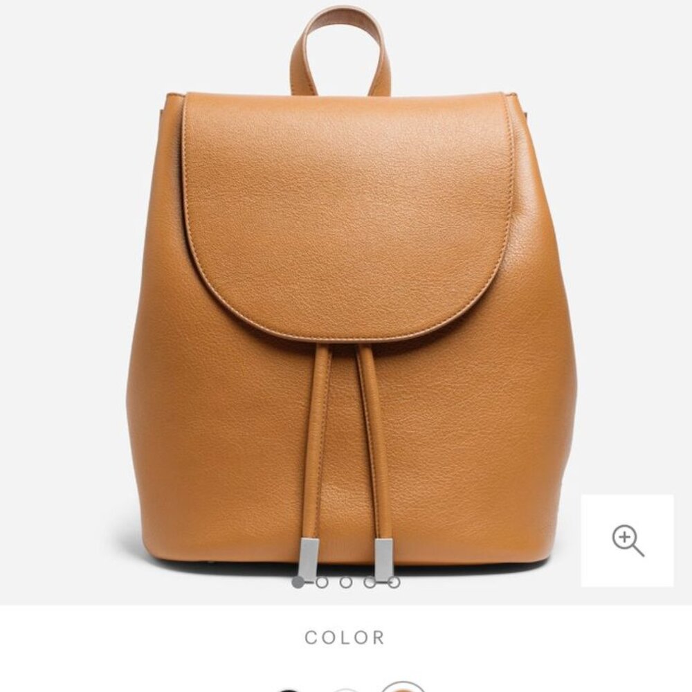 Everlane Leather Petra Backpack